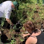 Adulti all'opera! | Foro arc. Parco Nord di Milano 